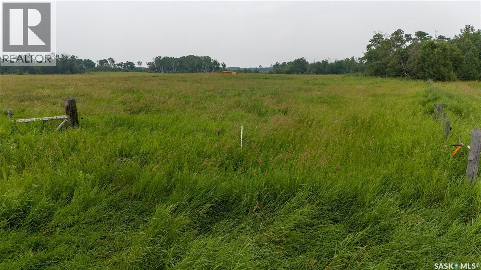 8 Quarters & Yard Site Near Yorkton (Buckingham), Saltcoats Rm No. 213, Saskatchewan  S0A 3J0 - Photo 12 - SK029585