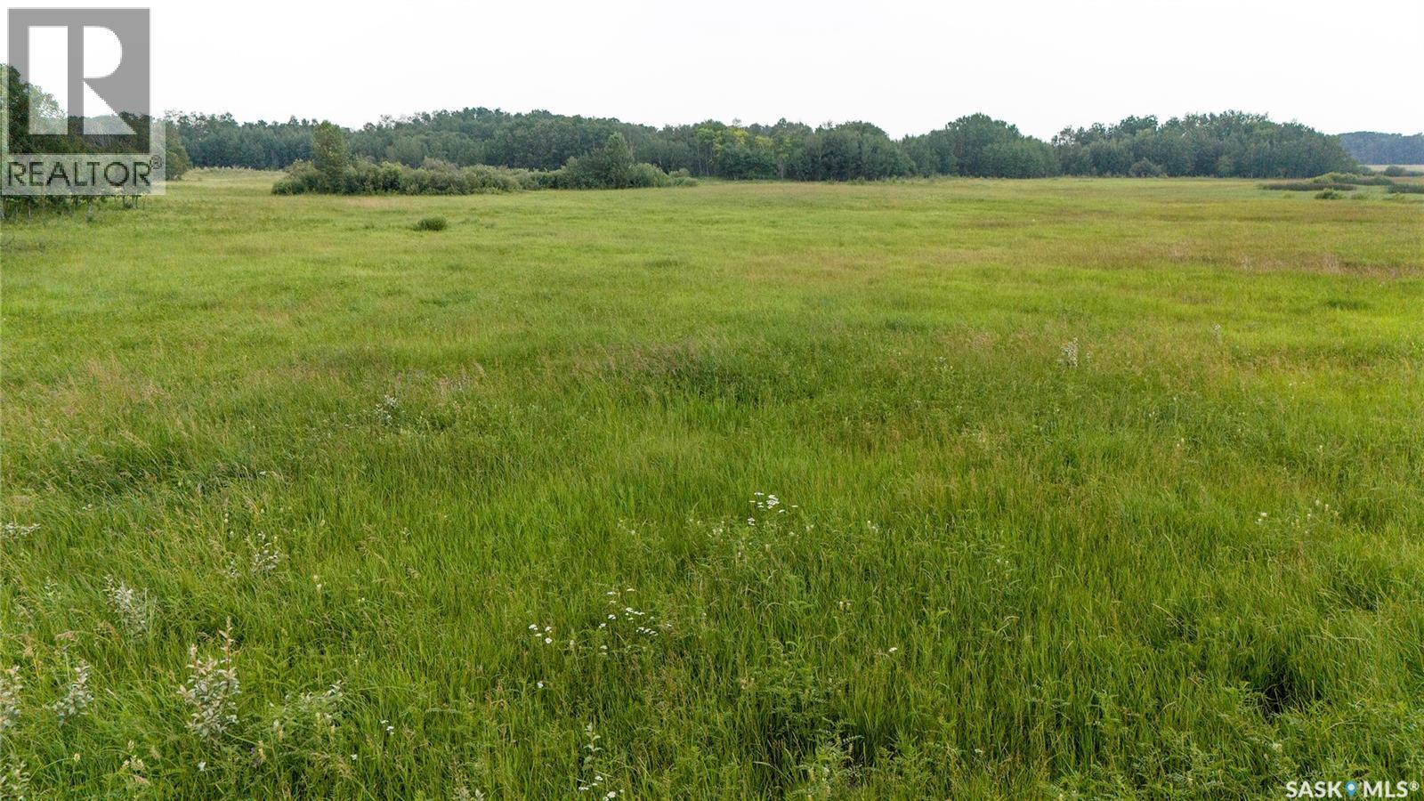 8 Quarters & Yard Site Near Yorkton (Buckingham), Saltcoats Rm No. 213, Saskatchewan  S0A 3J0 - Photo 7 - SK029585