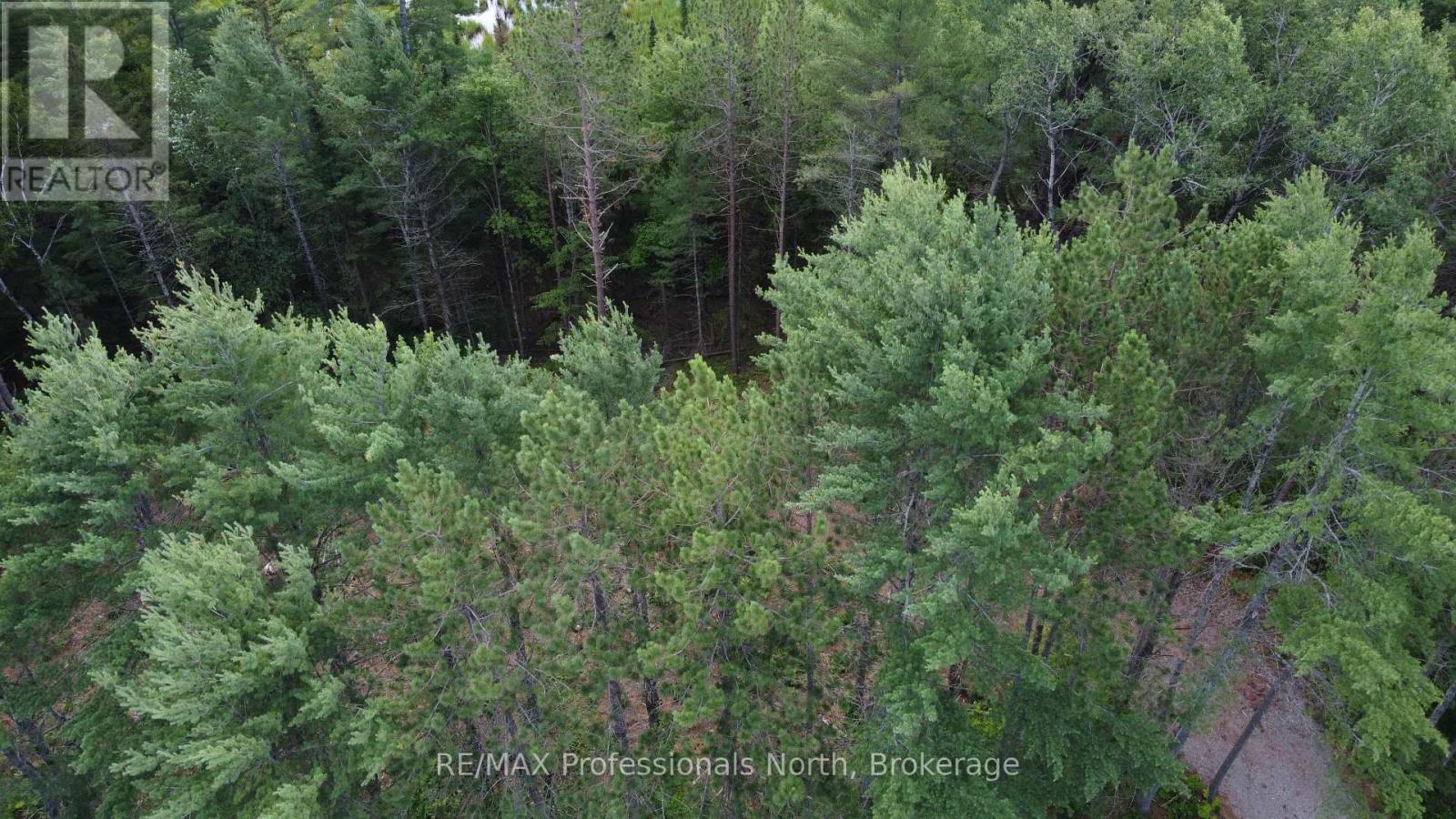 1075 Kushog Lake Road, Minden Hills, Ontario  K0M 2K0 - Photo 15 - X13603558