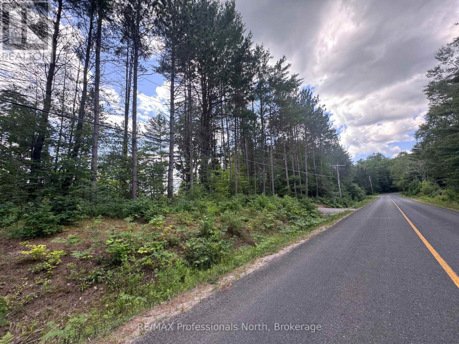 1075 Kushog Lake Road, Minden Hills, Ontario  K0M 2K0 - Photo 17 - X13603558