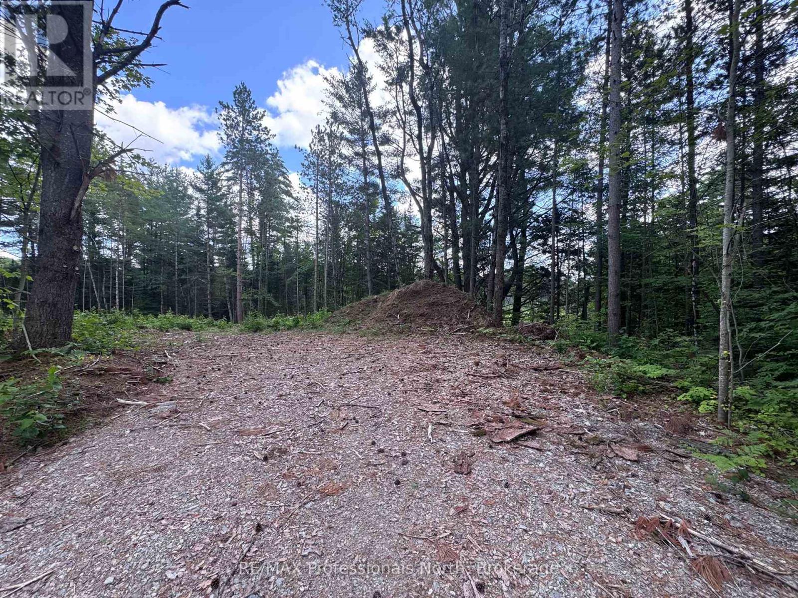 1075 Kushog Lake Road, Minden Hills, Ontario  K0M 2K0 - Photo 18 - X13603558