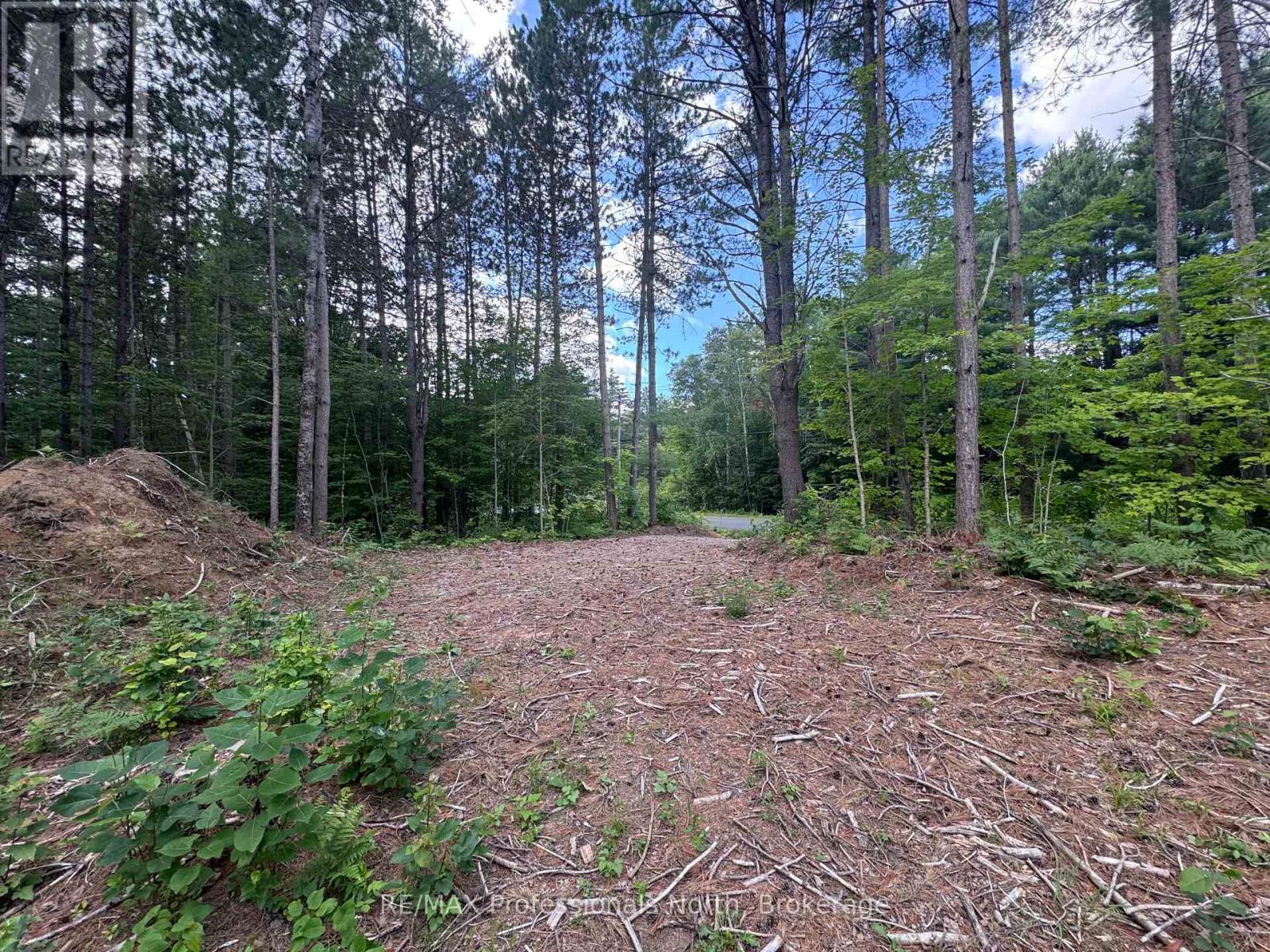 1075 Kushog Lake Road, Minden Hills, Ontario  K0M 2K0 - Photo 22 - X13603558