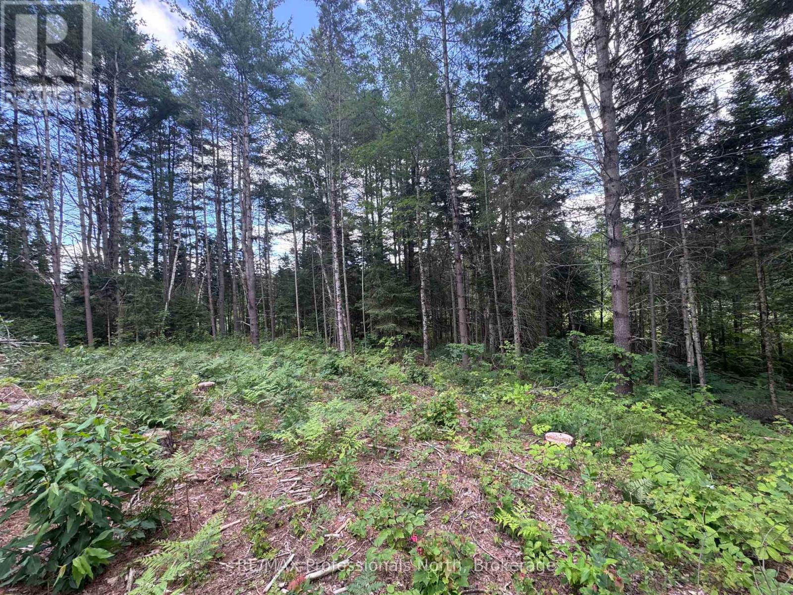 1075 Kushog Lake Road, Minden Hills, Ontario  K0M 2K0 - Photo 23 - X13603558