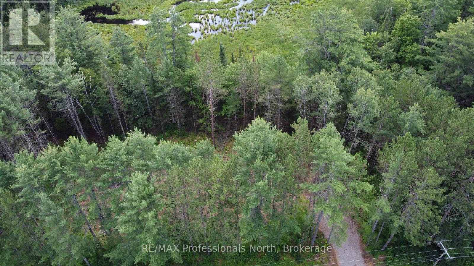 1075 Kushog Lake Road, Minden Hills, Ontario  K0M 2K0 - Photo 3 - X13603558