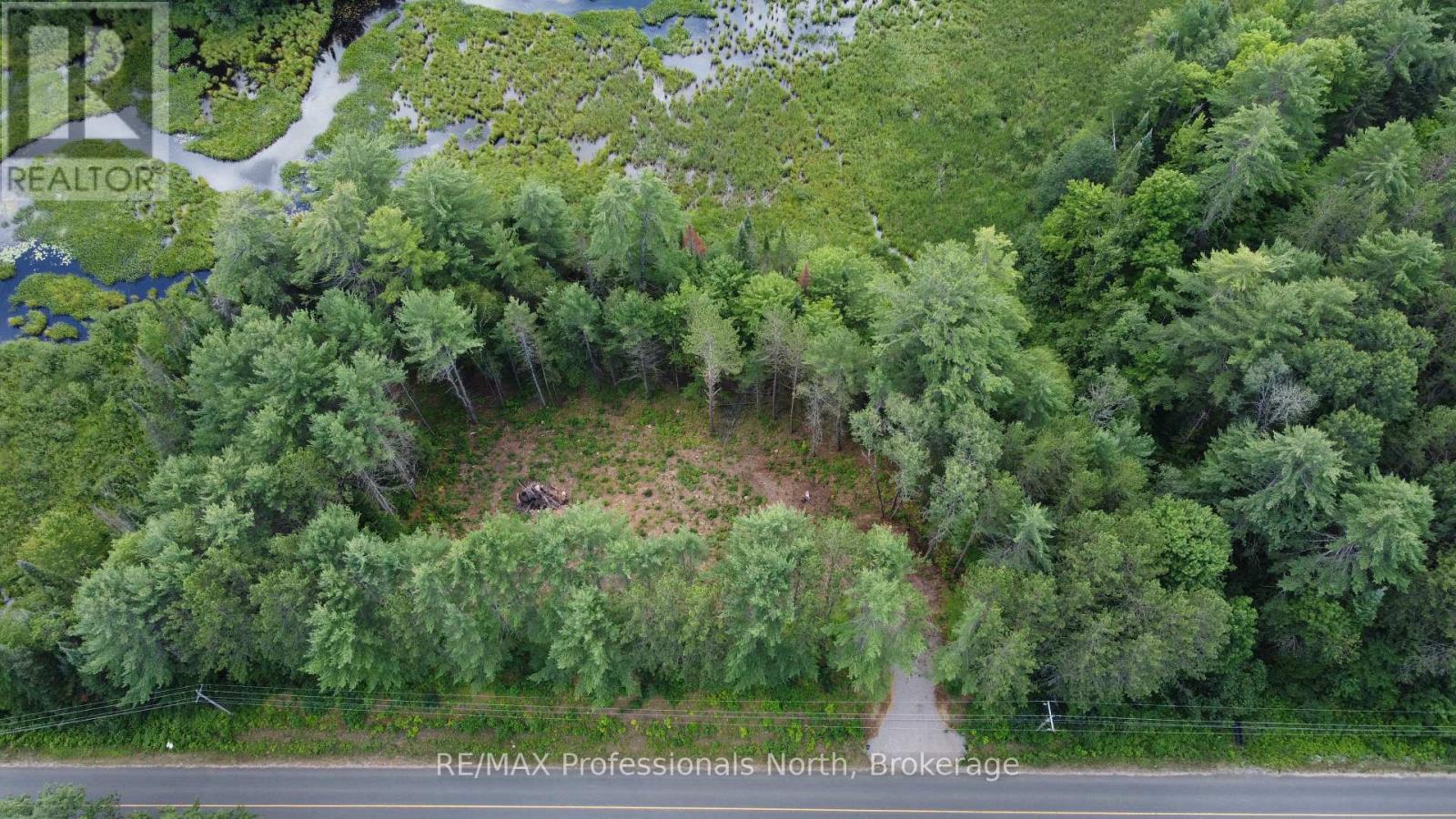 1075 Kushog Lake Road, Minden Hills, Ontario  K0M 2K0 - Photo 4 - X13603558