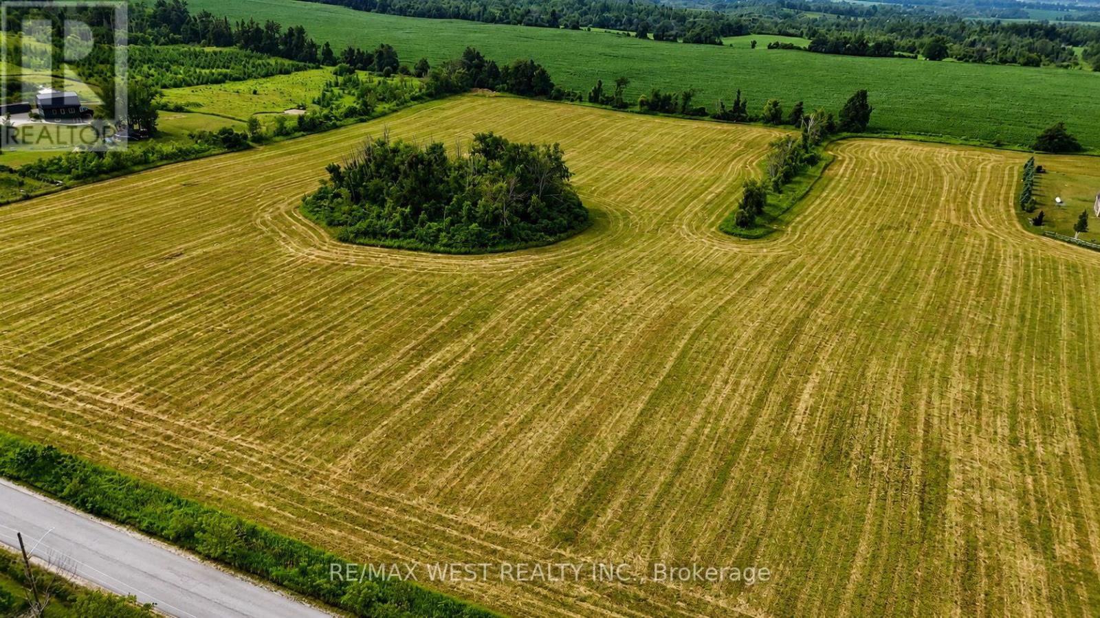 22 Sydenham Trail W, Clearview, Ontario  L0M 1H0 - Photo 5 - S13603860