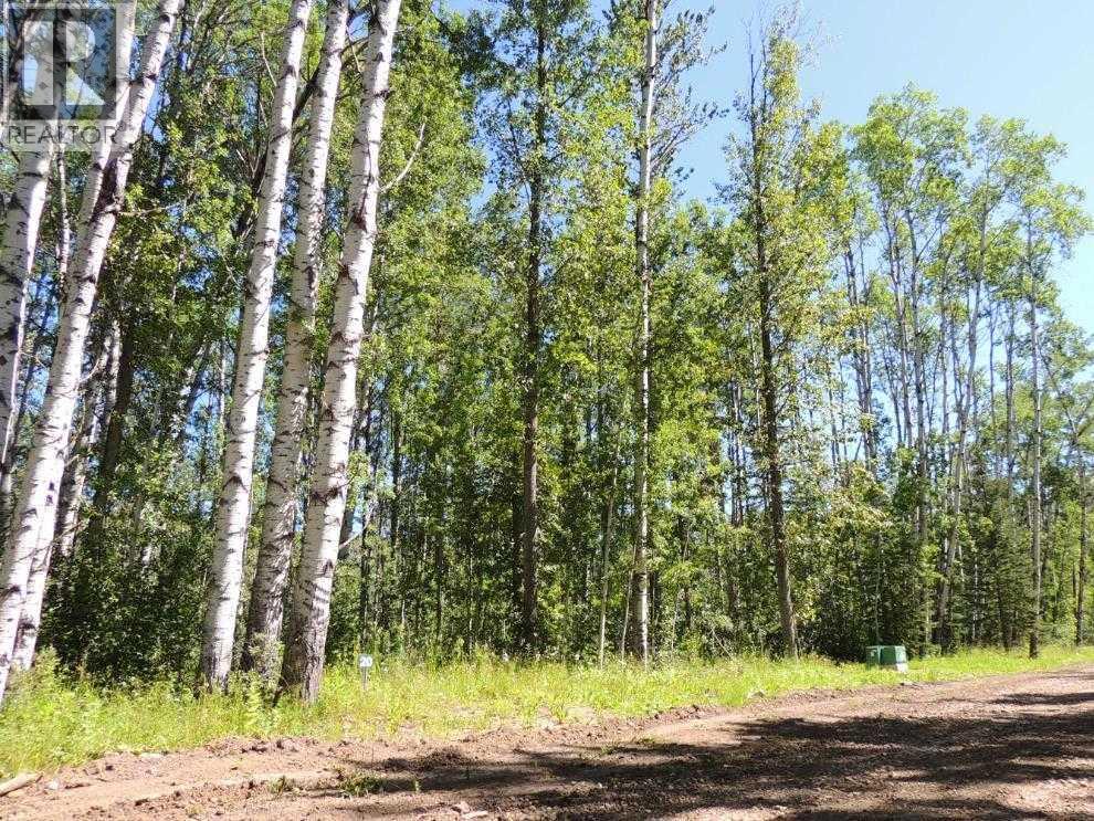 Lot #20 Wapiti River SW-21-69-10-W6, Rural Grande Prairie No. 1, Alberta  T0h 1J0 - Photo 1 - A2246235