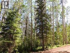 Lot #10 Wapiti River SW-21-69-10-W6, Rural Grande Prairie No. 1, Alberta  T0H 1J0 - Photo 1 - A2246279