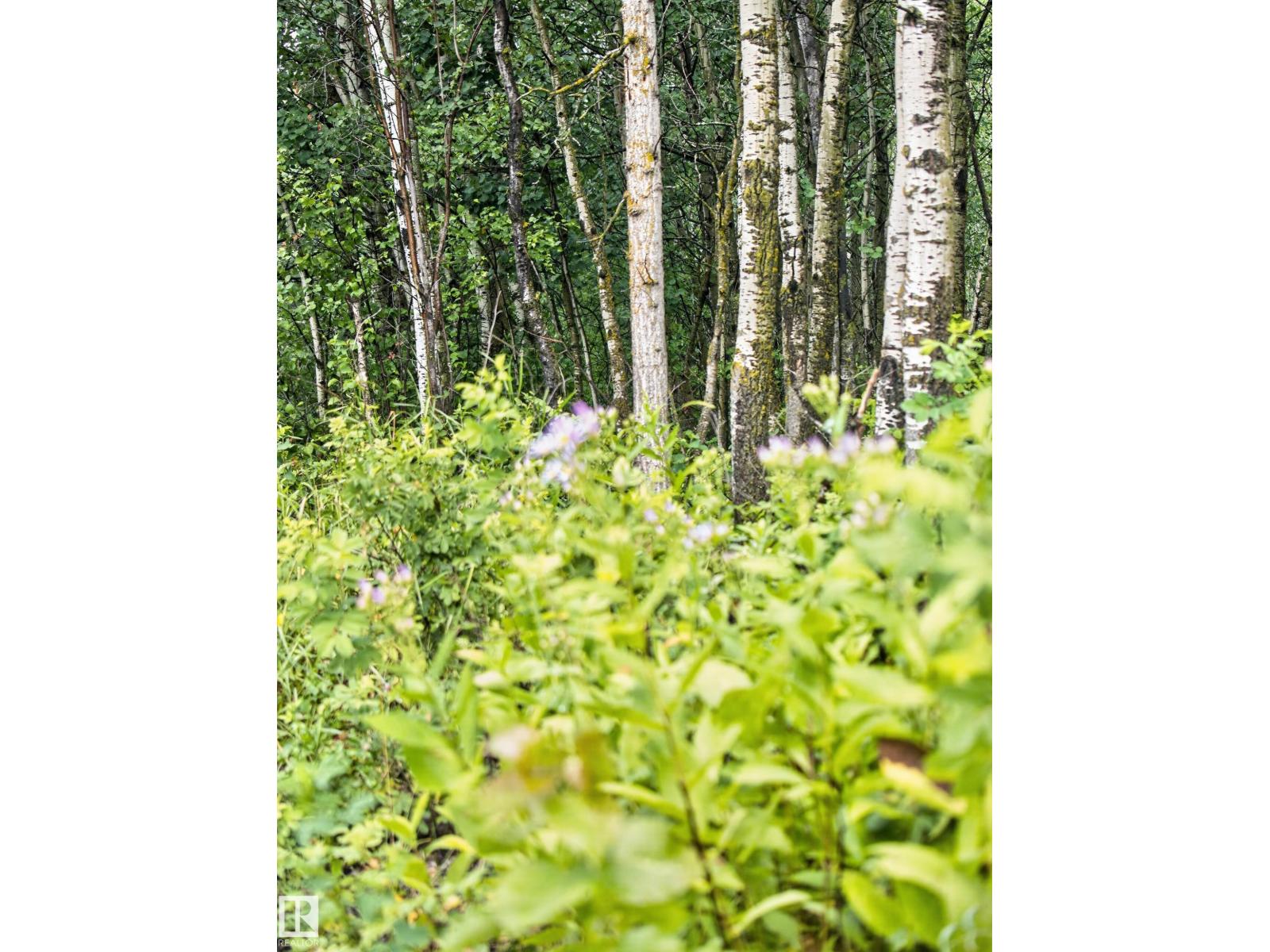 #217 51058 Rge Road 212, Rural Strathcona County, Alberta  T8G 1E7 - Photo 55 - E4500639