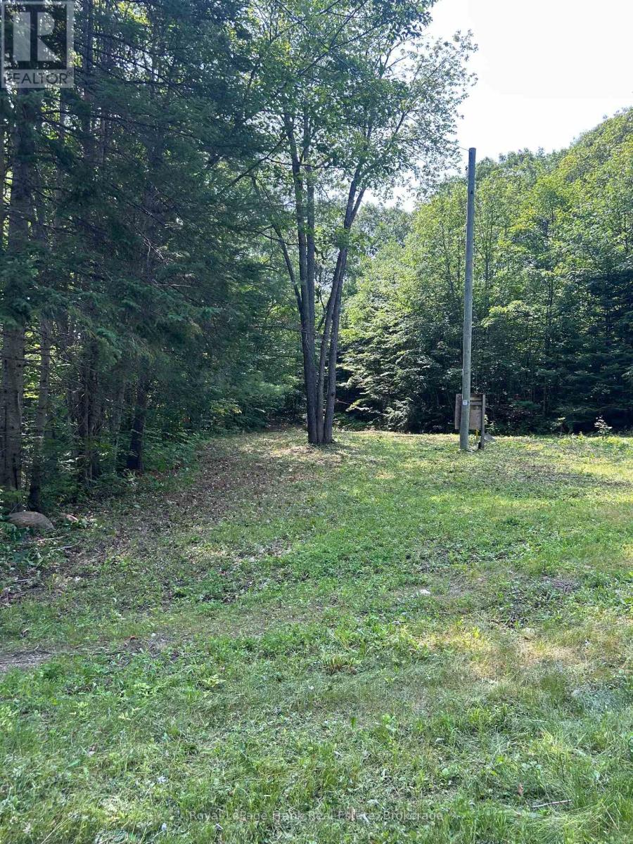 120 Norlock Road, Madawaska Valley, Ontario  K0J 1B0 - Photo 5 - X13218536