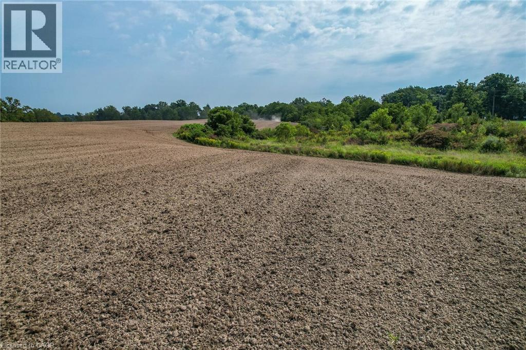 Pt Lt 23 River Road, Cayuga, Ontario  N0A 1E0 - Photo 19 - 40820632