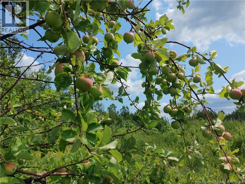 Mitchell, Belledune, New Brunswick  E8G 2S7 - Photo 2 - NB144735