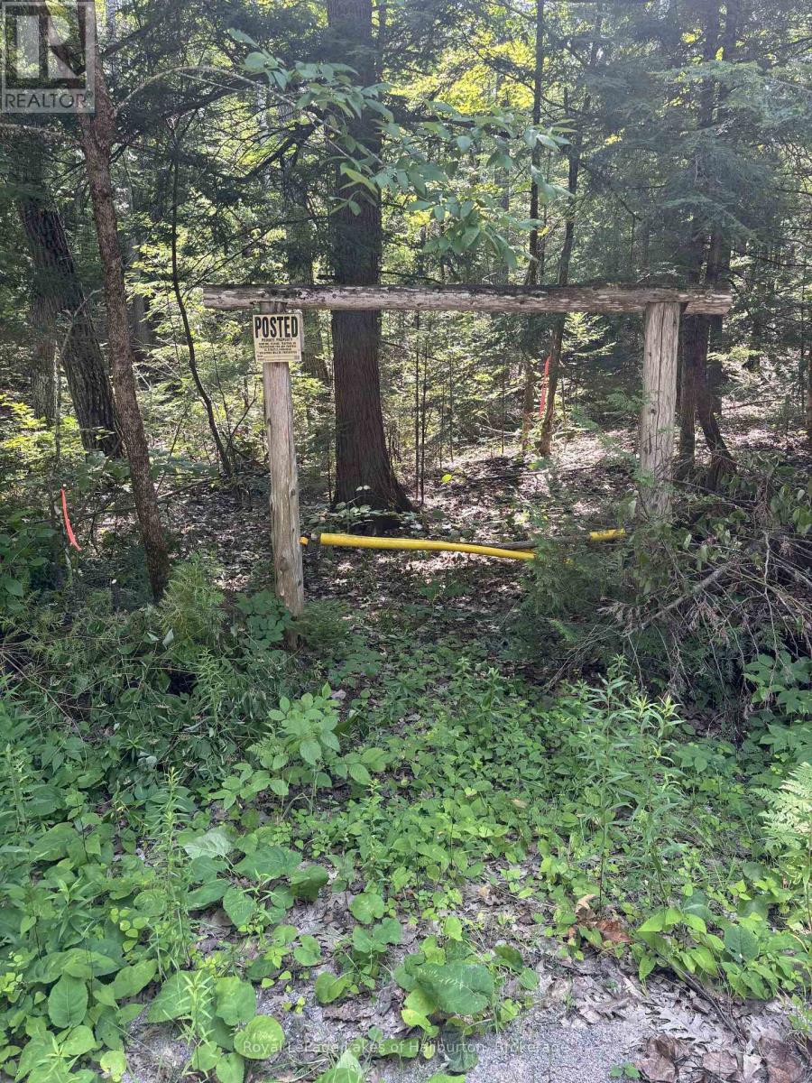 Beside 1456 Crystal Lake Road, Trent Lakes, Ontario  K0M 2A0 - Photo 35 - X13604358