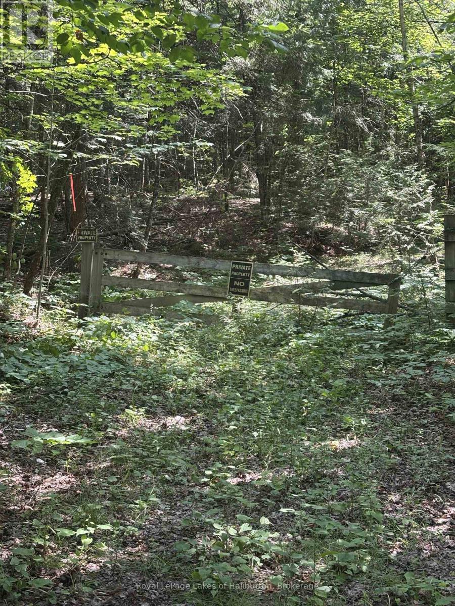 Beside 1456 Crystal Lake Road, Trent Lakes, Ontario  K0M 2A0 - Photo 36 - X13604358