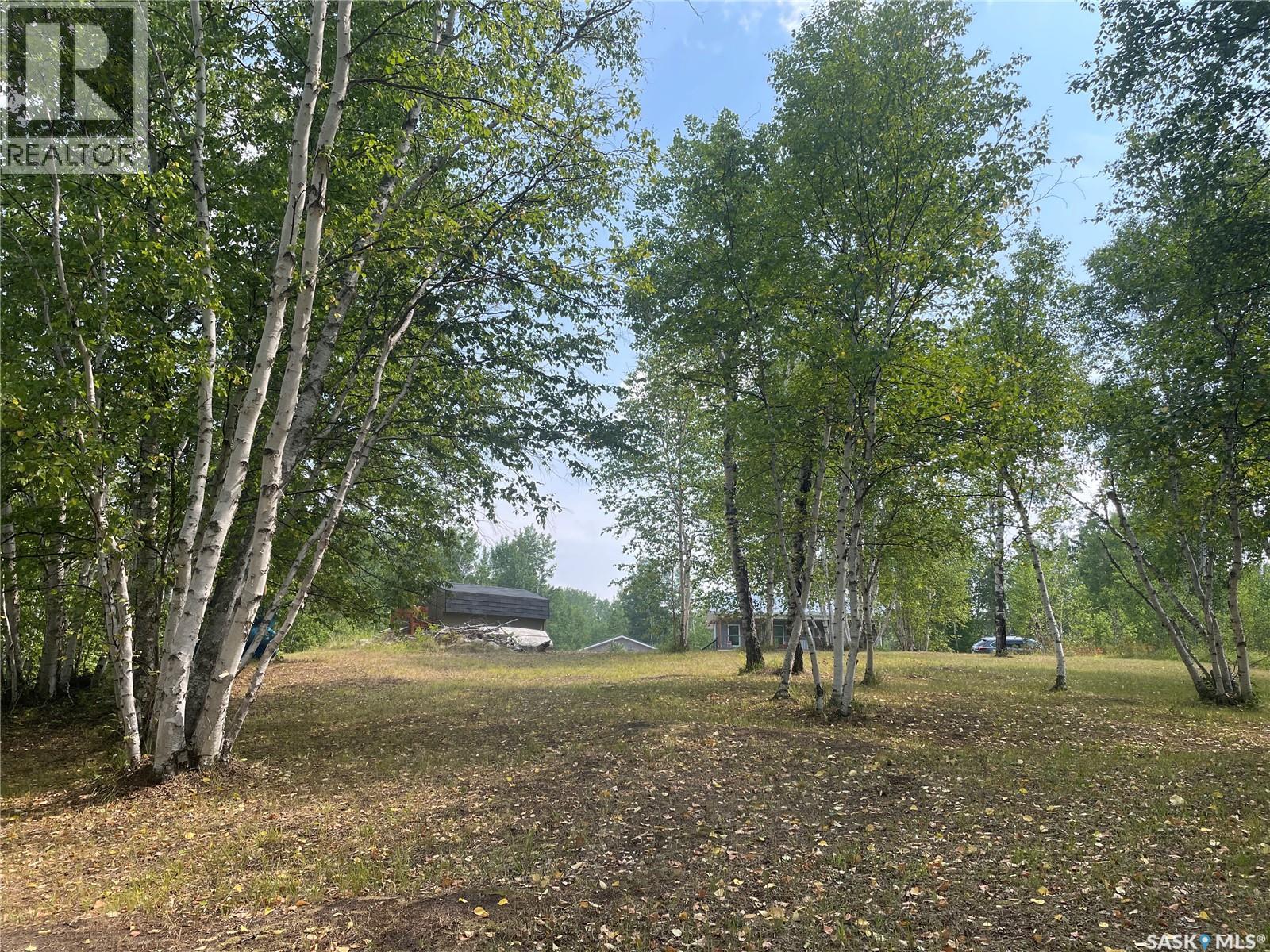 14 Andrews Way, Cowan Lake, Saskatchewan  S0J 0E0 - Photo 16 - SK043474