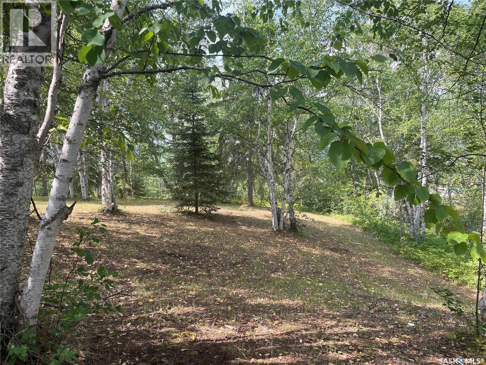 14 Andrews Way, Cowan Lake, Saskatchewan  S0J 0E0 - Photo 19 - SK043474