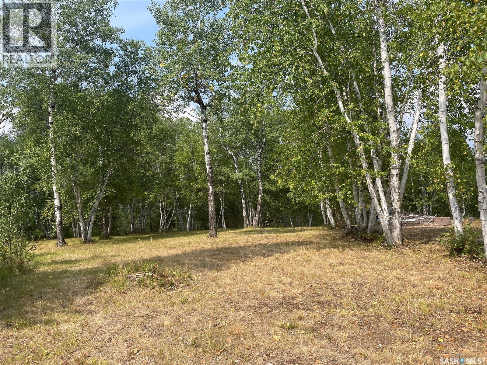 14 Andrews Way, Cowan Lake, Saskatchewan  S0J 0E0 - Photo 2 - SK043474