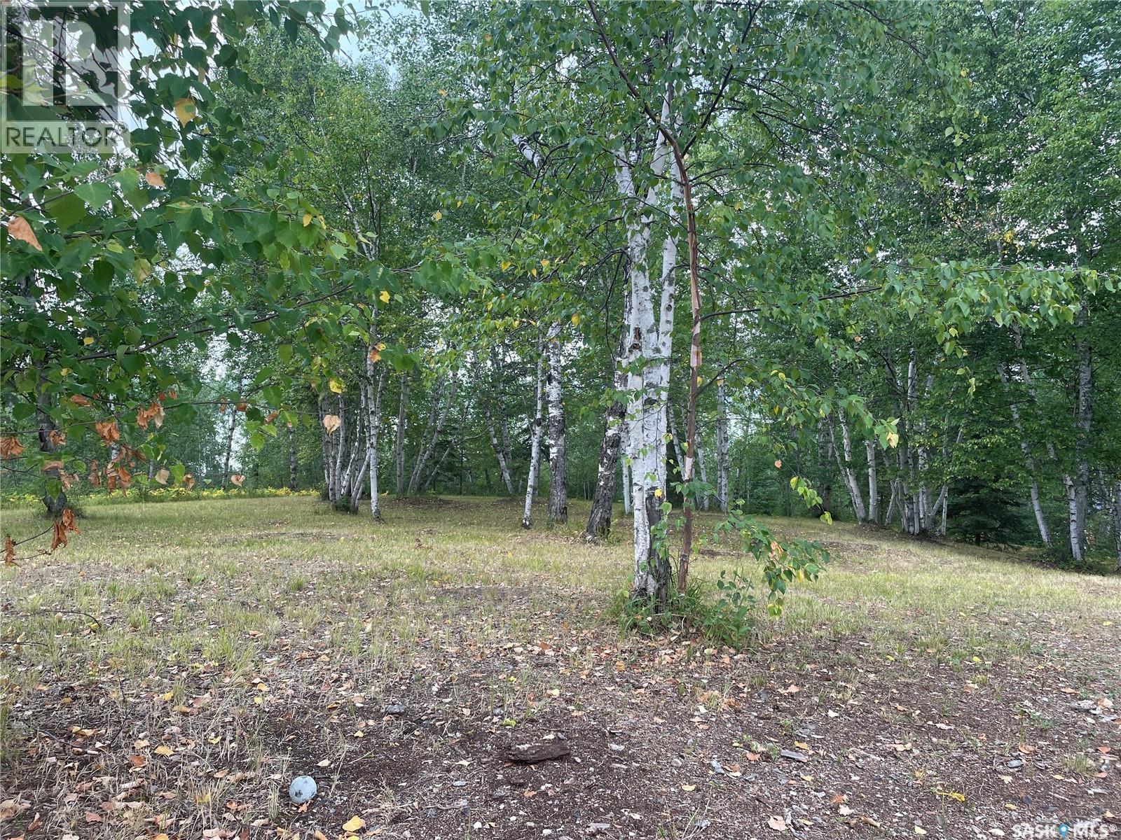 14 Andrews Way, Cowan Lake, Saskatchewan  S0J 0E0 - Photo 21 - SK043474