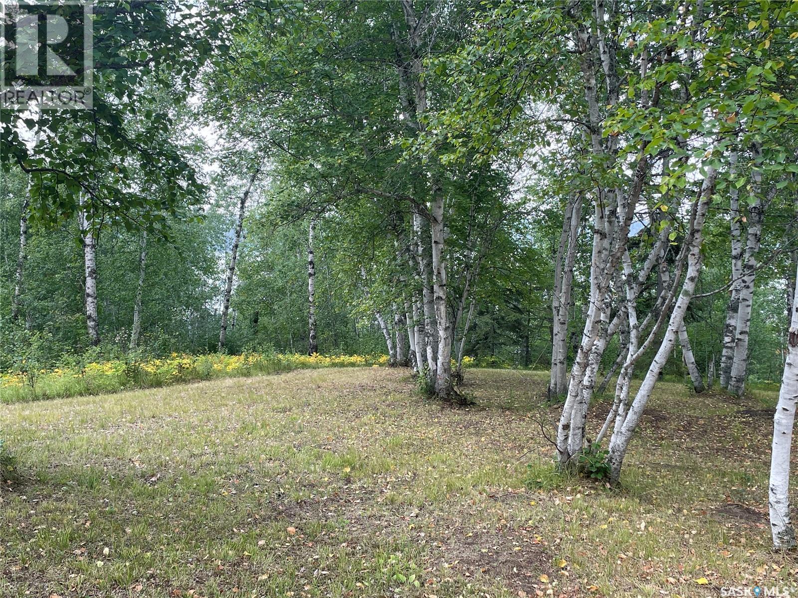 14 Andrews Way, Cowan Lake, Saskatchewan  S0J 0E0 - Photo 23 - SK043474