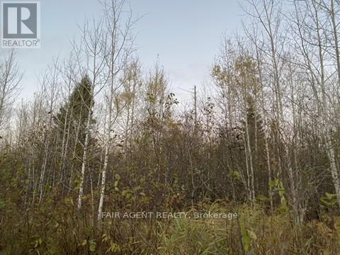 Pcl 5837 & Pcl 6721 Vezina Road, Cochrane, Ontario  P0L 1C0 - Photo 12 - T13605610