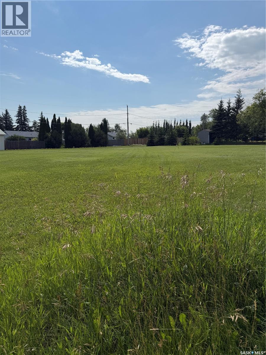 112 4th Street, Birch Hills, Saskatchewan S0J 0G0 - Photo 5 - SK042980