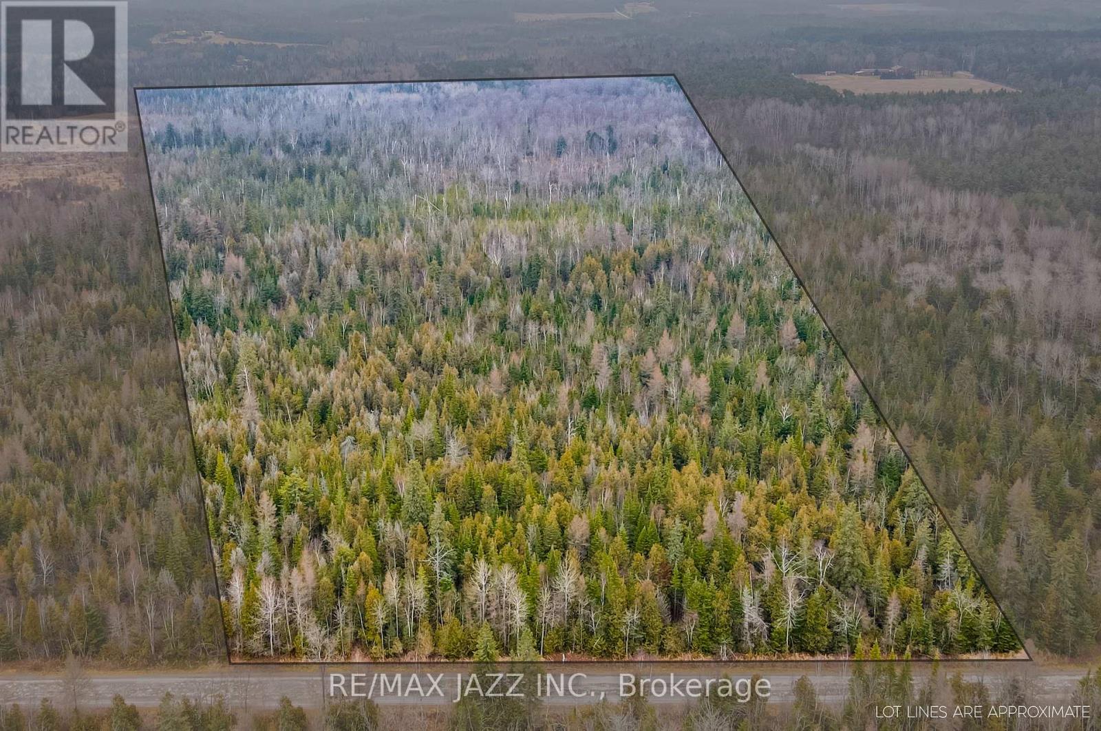 0 BALLYDUFF ROAD, Kawartha Lakes, Ontario