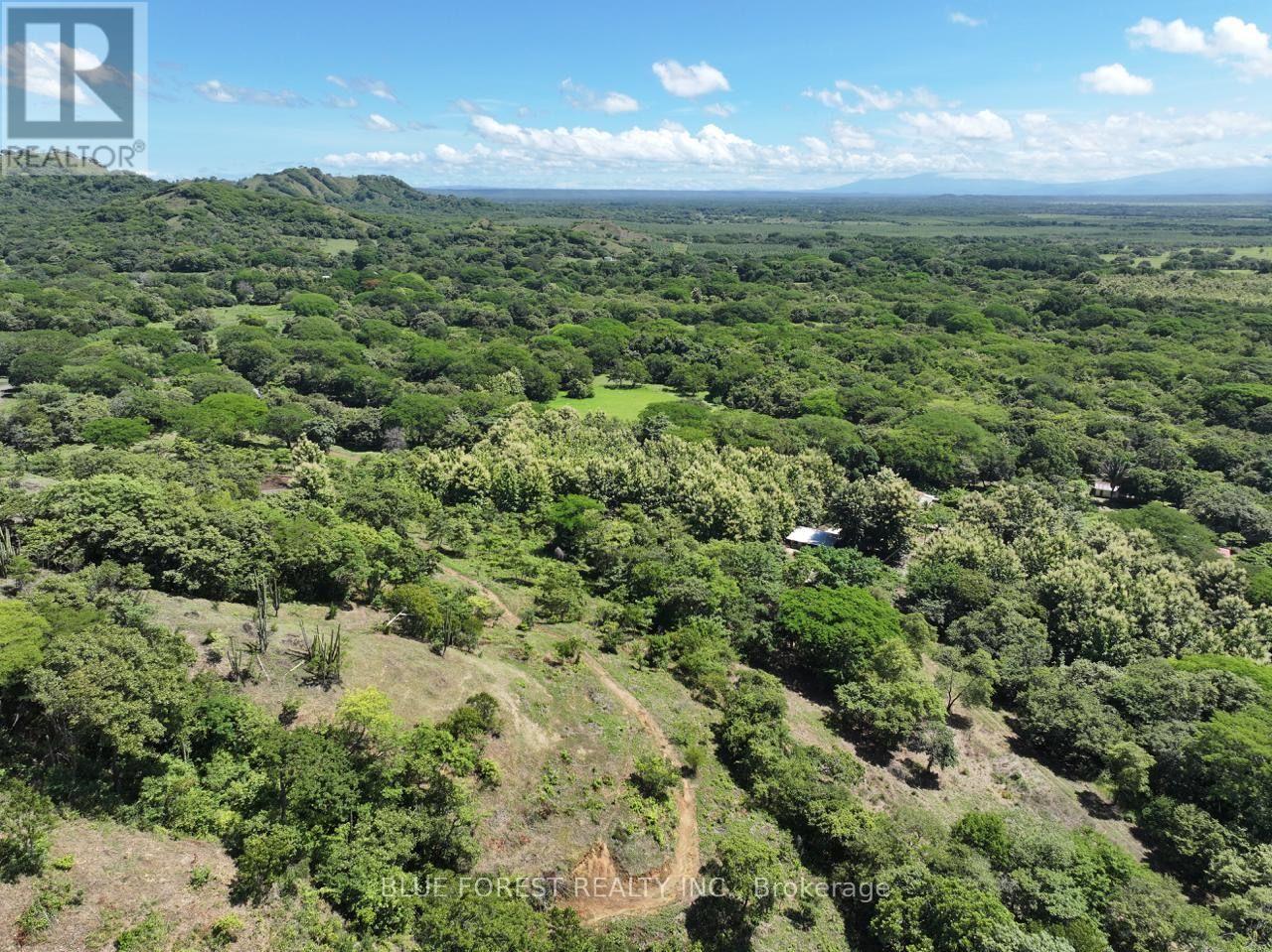 Lot 29 Belen, Costa Rica, Ontario   - Photo 10 - X13605982