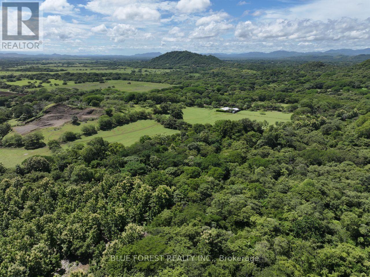 Lot 29 Belen, Costa Rica, Ontario   - Photo 11 - X13605982