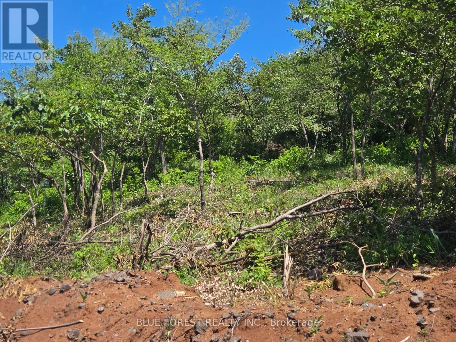 Lot 29 Belen, Costa Rica, Ontario   - Photo 12 - X13605982