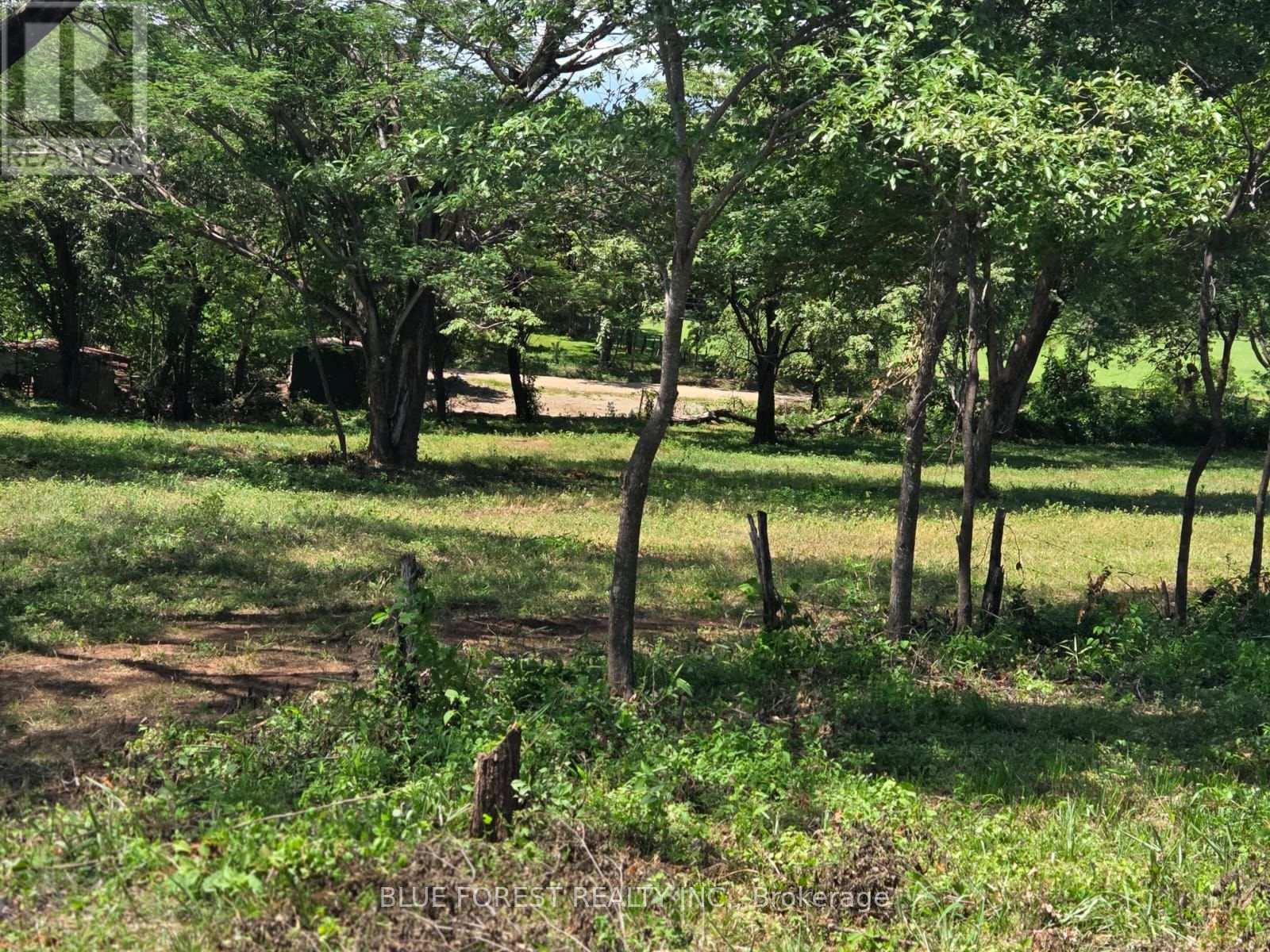 Lot 29 Belen, Costa Rica, Ontario   - Photo 3 - X13605982
