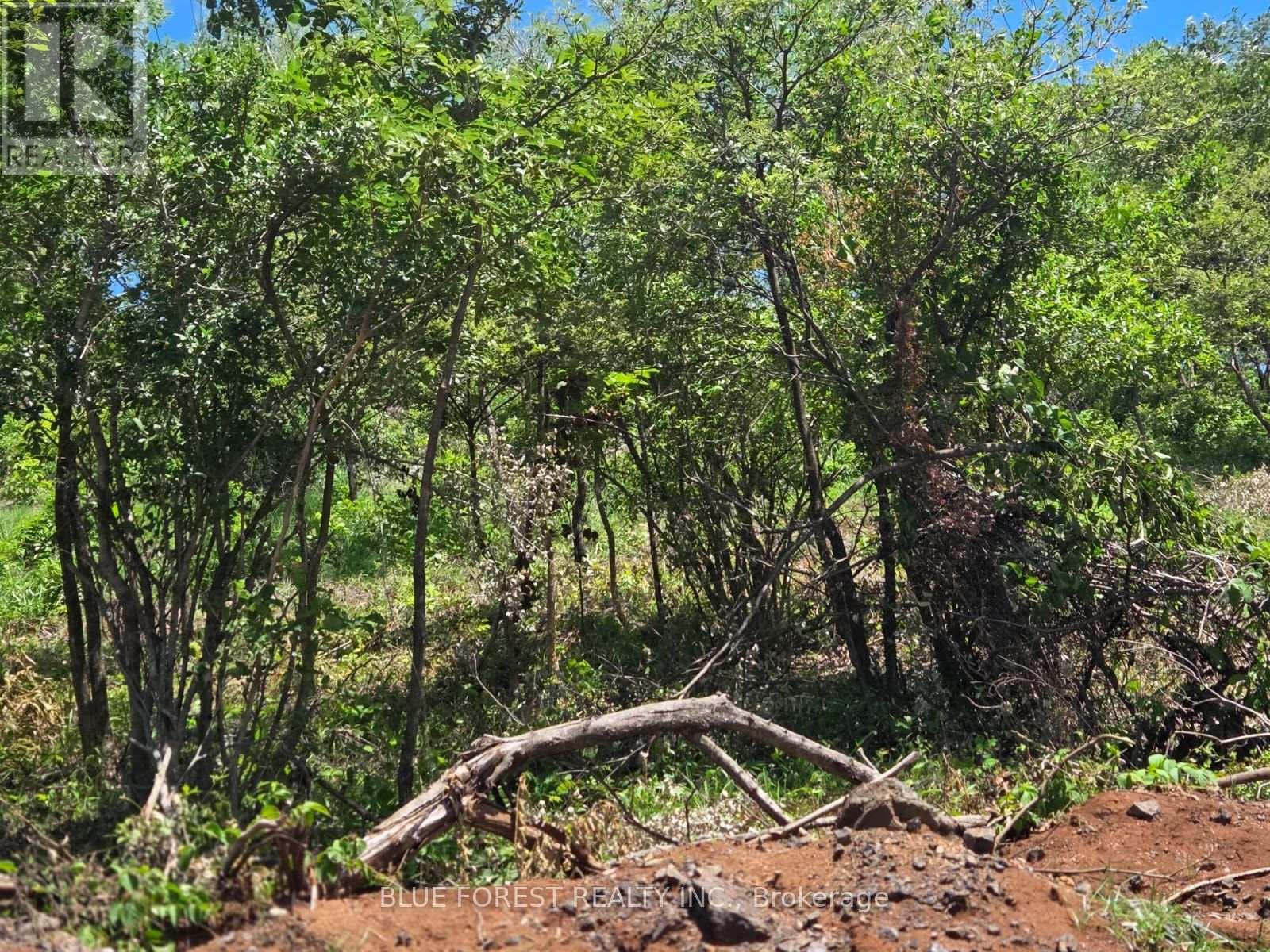 Lot 29 Belen, Costa Rica, Ontario   - Photo 7 - X13605982