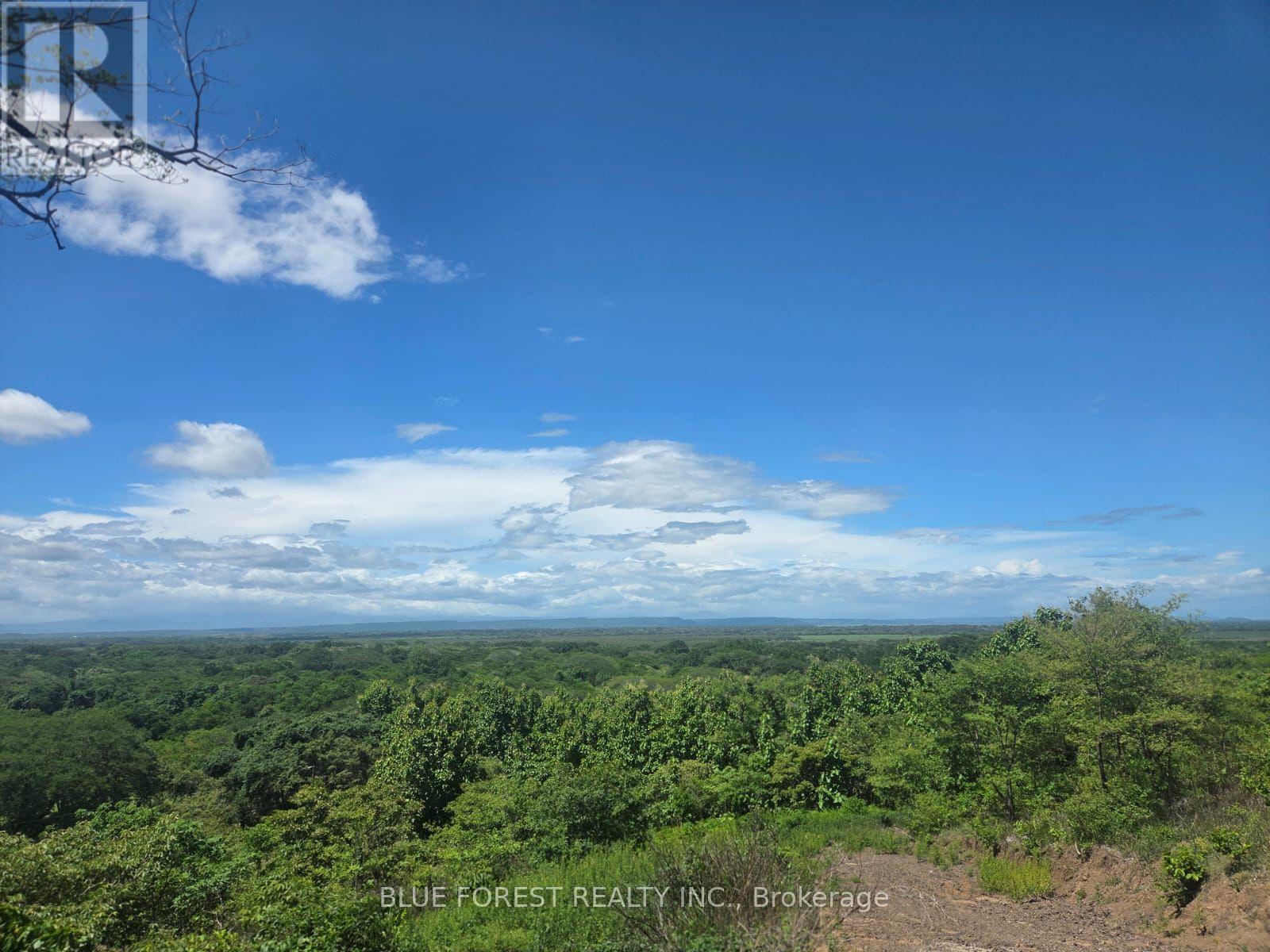 Lot 29 Belen, Costa Rica, Ontario   - Photo 8 - X13605982