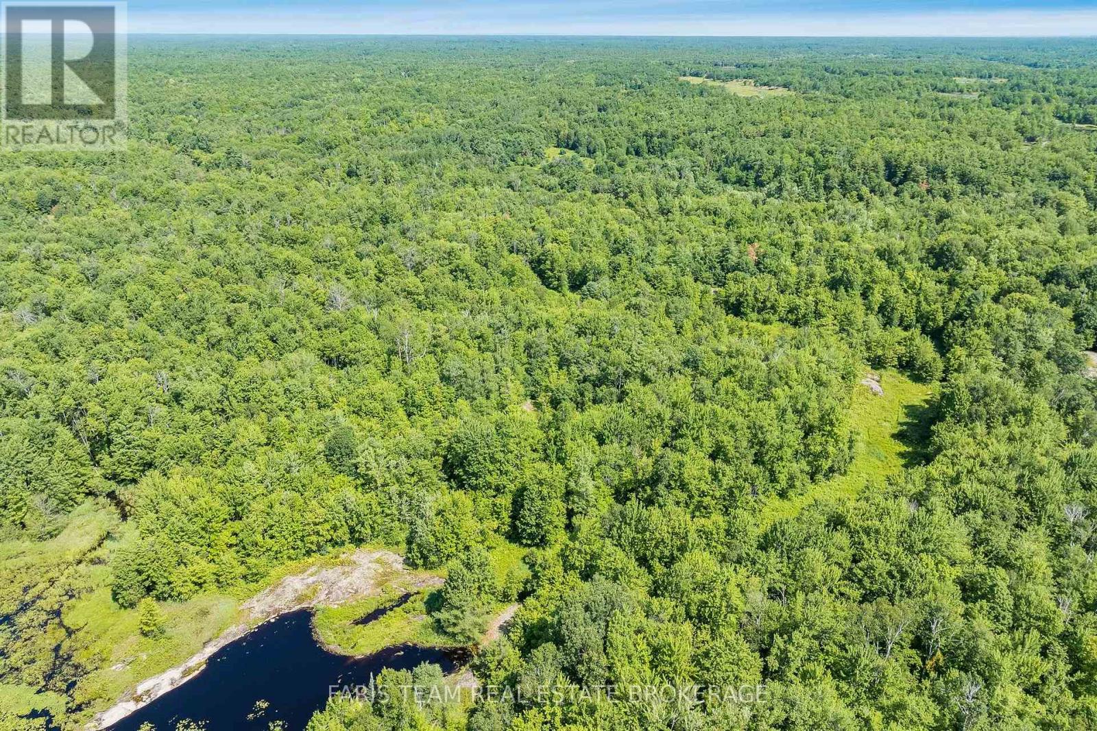 Part Lot 28 Concession 12 Black River Road, Kawartha Lakes, Ontario  L0K 1W0 - Photo 6 - X13603364