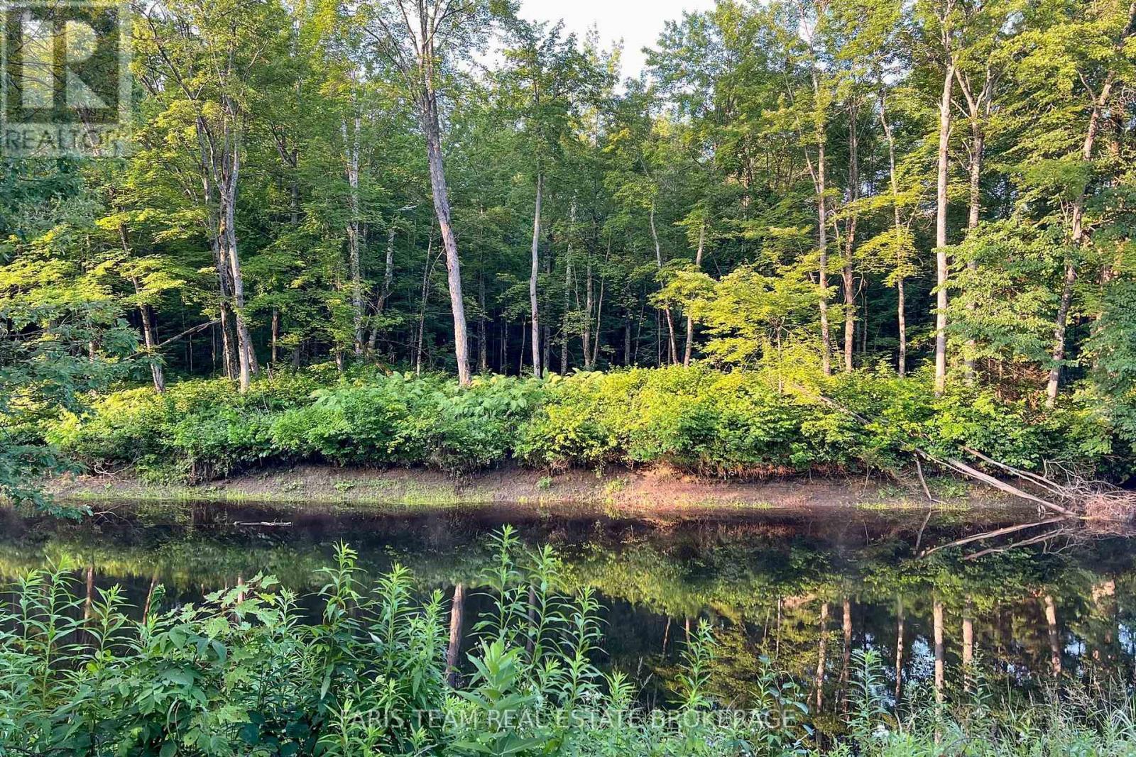 Part Lot 28 Concession 12 Black River Road, Kawartha Lakes, Ontario  L0K 1W0 - Photo 14 - X13603364