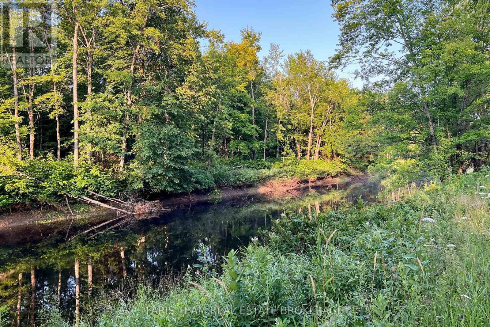 Part Lot 28 Concession 12 Black River Road, Kawartha Lakes, Ontario  L0K 1W0 - Photo 15 - X13603364