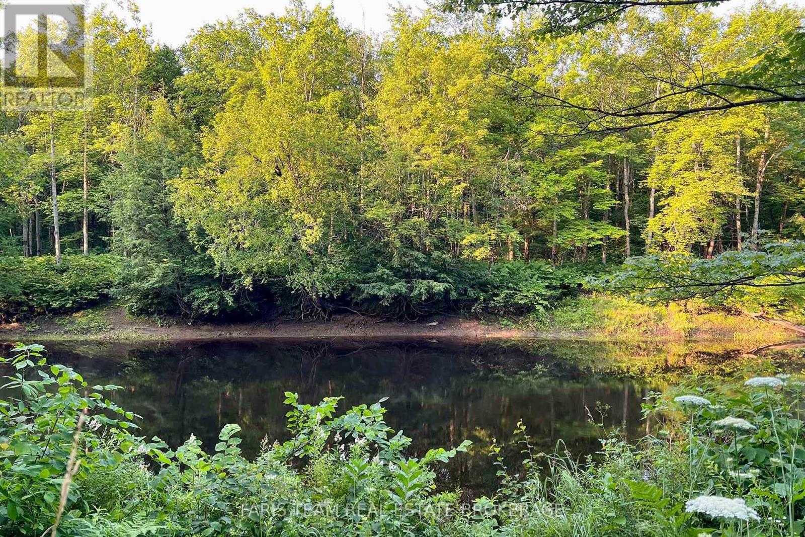 Part Lot 28 Concession 12 Black River Road, Kawartha Lakes, Ontario  L0K 1W0 - Photo 11 - X13603364