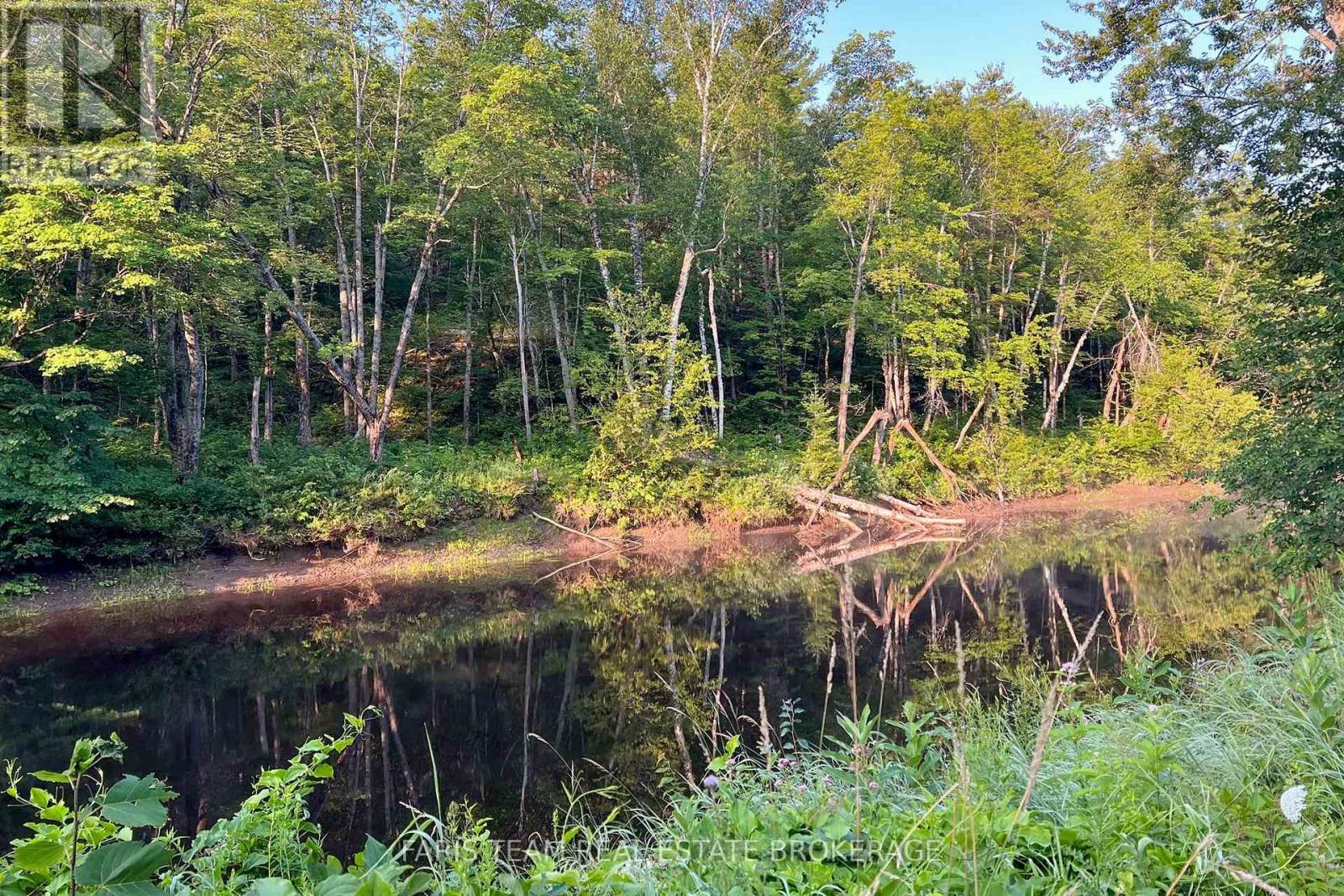 Part Lot 28 Concession 12 Black River Road, Kawartha Lakes, Ontario  L0K 1W0 - Photo 12 - X13603364