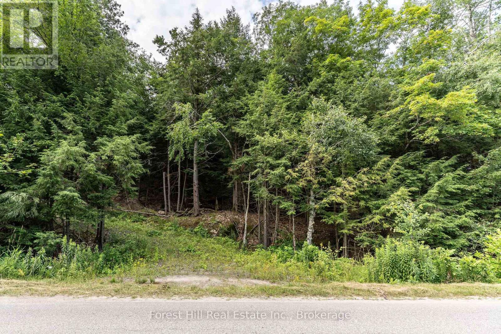 1149 Golden Beach Road, Bracebridge, Ontario  P1L 1W8 - Photo 13 - X13606252