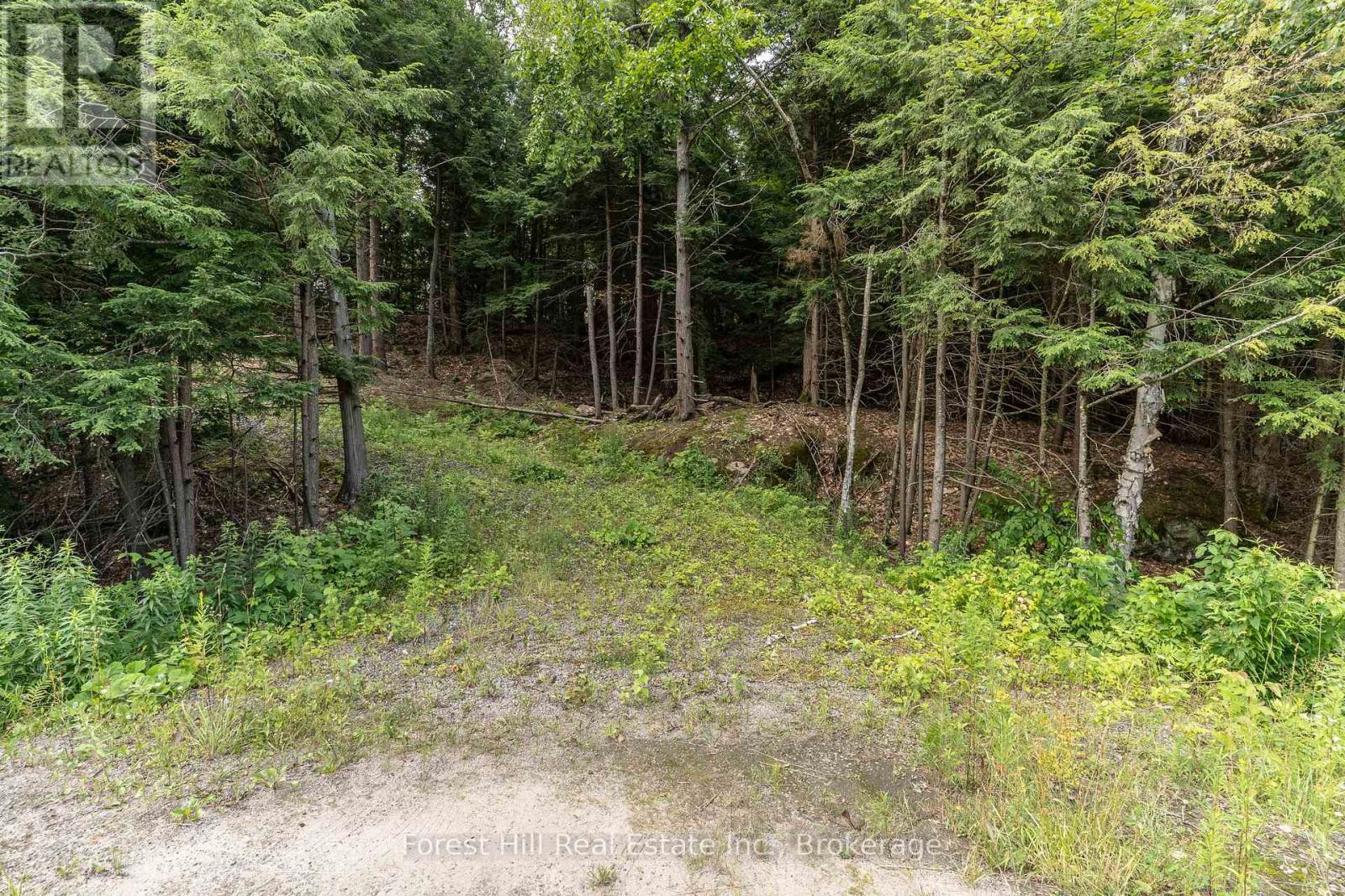 1149 Golden Beach Road, Bracebridge, Ontario  P1L 1W8 - Photo 14 - X13606252