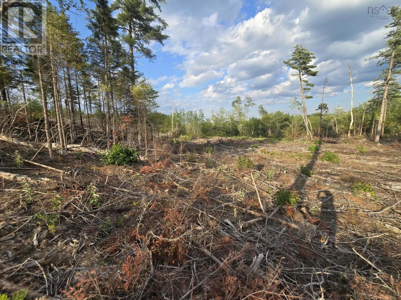 Lot 1 Stark Road, Newport Station, Nova Scotia  B0N 2T0 - Photo 20 - 202618661