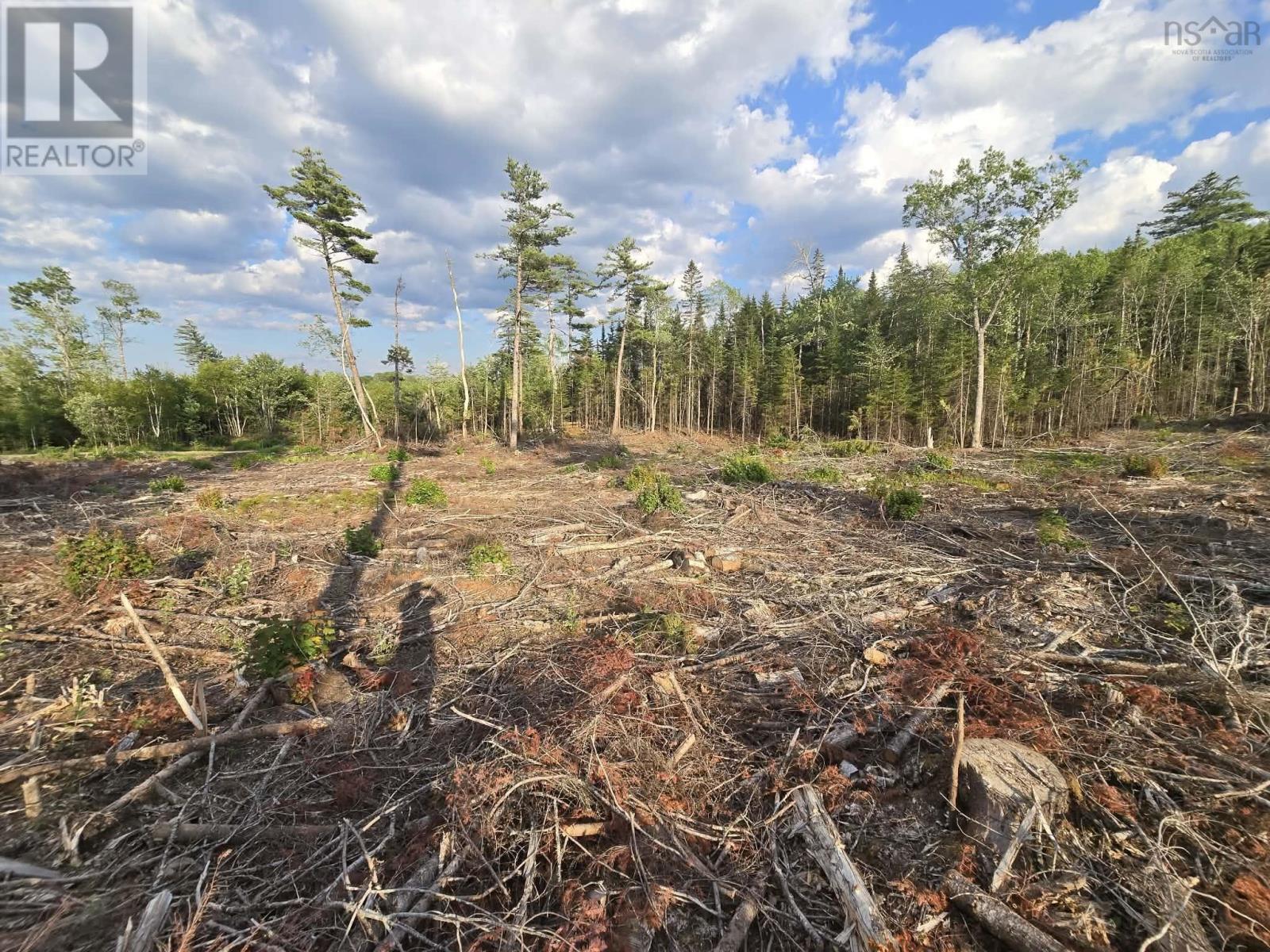 Lot 1 Stark Road, Newport Station, Nova Scotia  B0N 2T0 - Photo 19 - 202618661