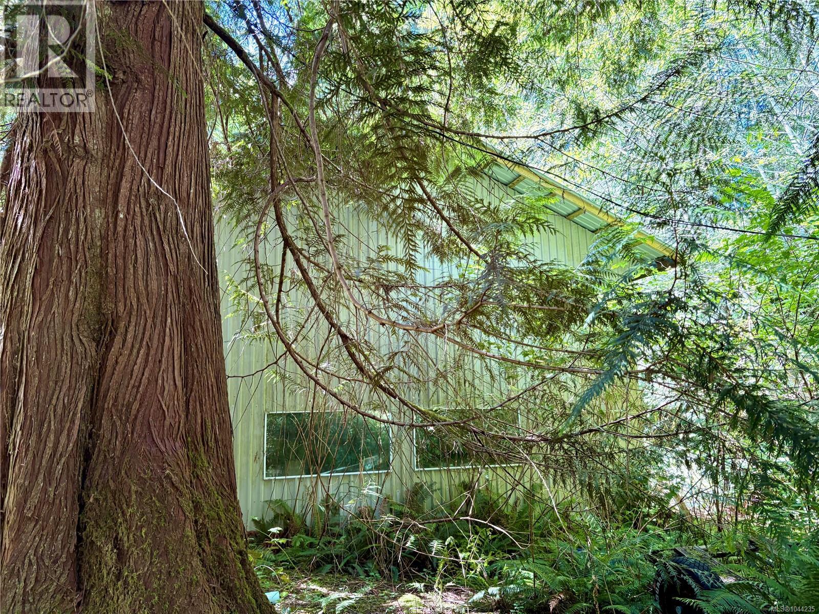 245 Quatsino Rd, Quatsino, British Columbia  V0N 2V0 - Photo 49 - 1044235