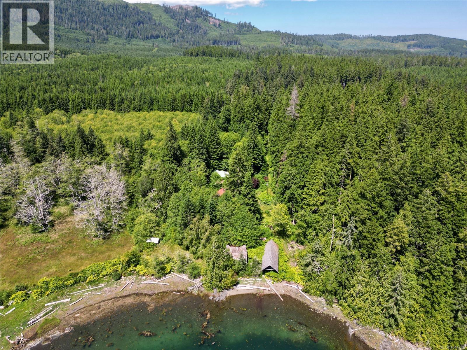 245 Quatsino Rd, Quatsino, British Columbia  V0N 2V0 - Photo 7 - 1044235