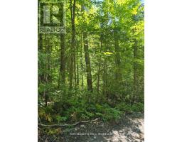 PT LT 3 CONCESSION 8 PT 123, Trent Hills, Ontario
