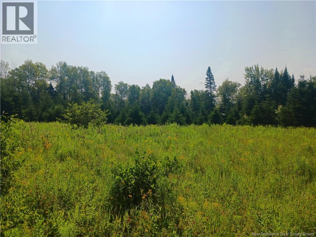 1496 Route 390, Gladwyn, New Brunswick  E7H 4R7 - Photo 4 - NB144656