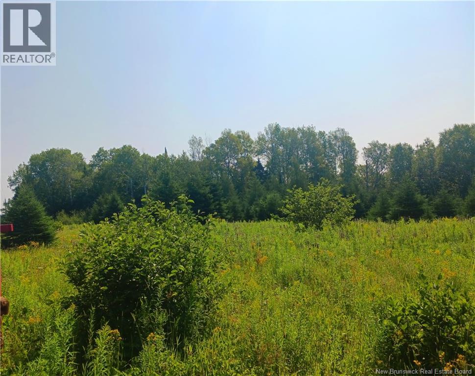1496 Route 390, Gladwyn, New Brunswick  E7H 4R7 - Photo 5 - NB144656