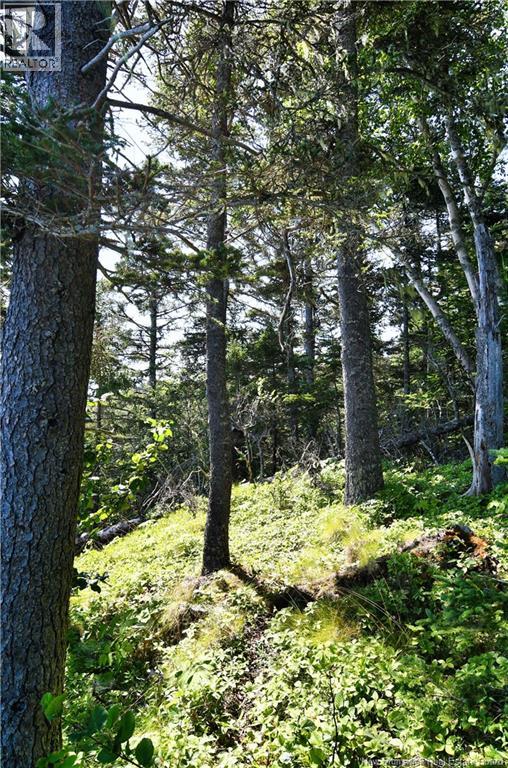 Lot 86-312 Fundy Drive, Wilsons Beach, New Brunswick  E5E 1X4 - Photo 12 - NB137762