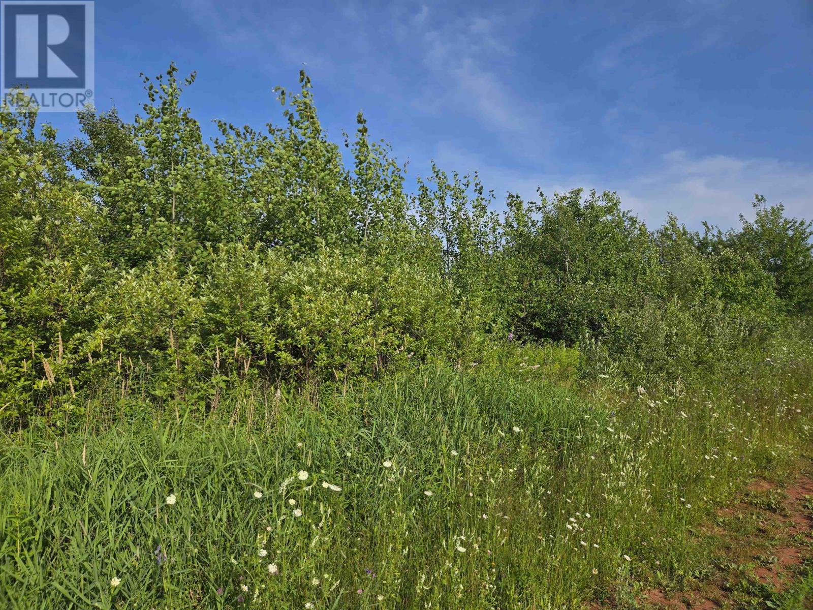 Acreage Deblois Road, Deblois, Prince Edward Island  C0B 2B0 - Photo 4 - 202618670