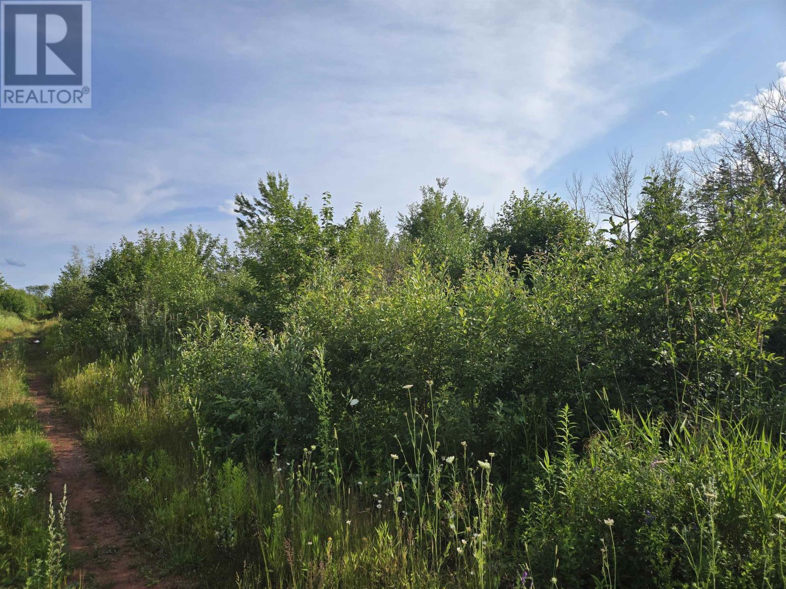 Acreage Deblois Road, Deblois, Prince Edward Island  C0B 2B0 - Photo 5 - 202618670