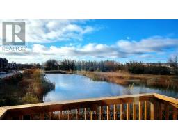 85 RILEY REED LANE, Richmond Hill, Ontario